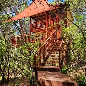 https://treehouses-ljubac-glamping.hotelinzadar.com